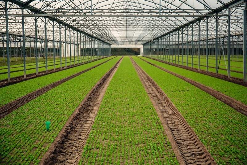 Skupina Bonduelle získala mezinárodní certifikaci B Corp™