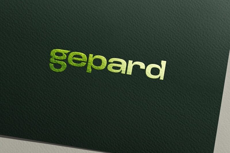 Gepard Finance mění strategii: posiluje B2B směr, komunikaci i značku