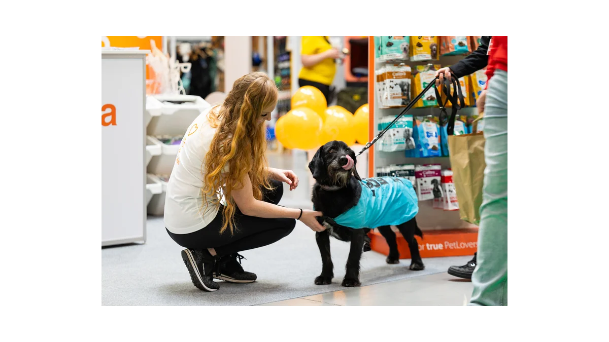 Veletrh FOR PETS: Objevte alpaky a 700 psů v Praze