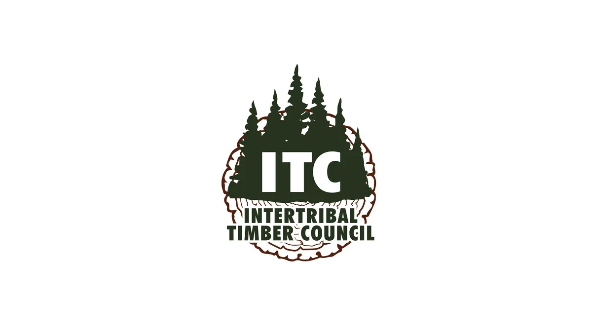 EUDR a jeho dopad na kmenové lesnictví: Hlas ITC