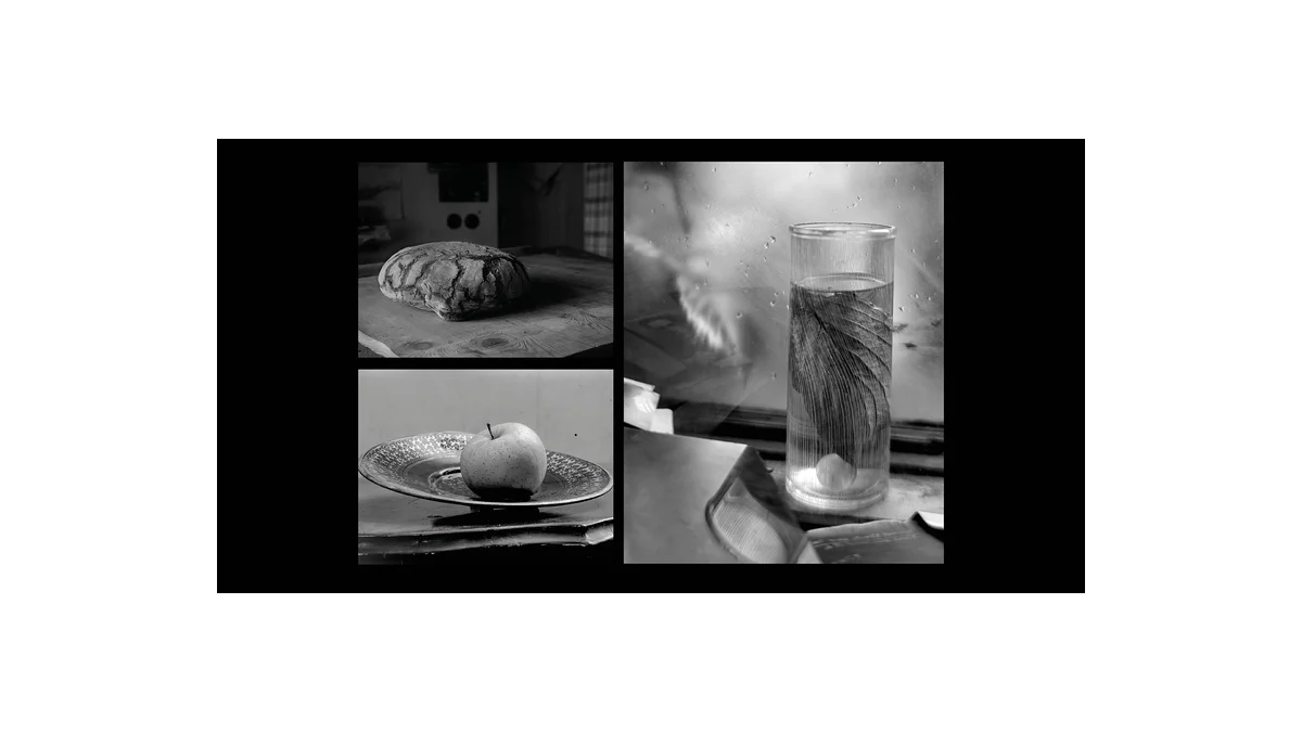 Výstava Sudek v Galerii Kinský: Umění fotografie