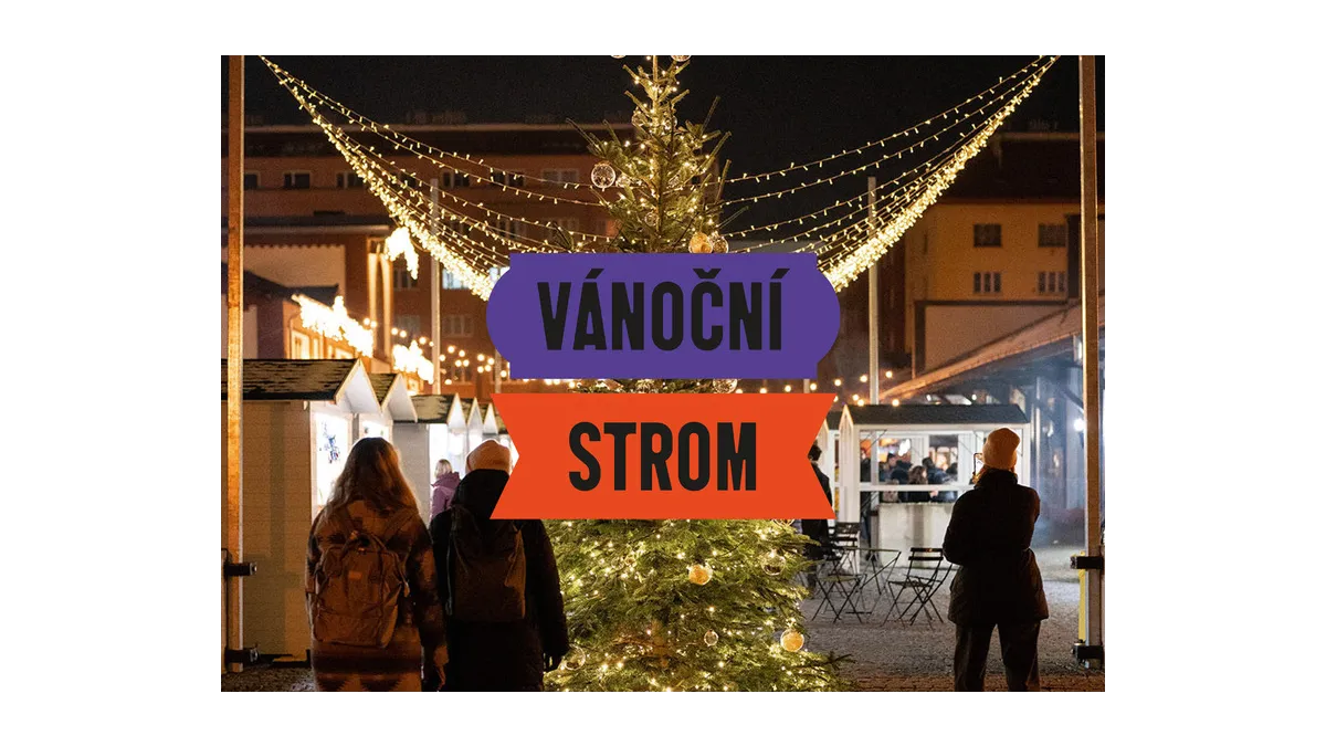 Vánoční strom v tržnici: zapojte se do soutěže!