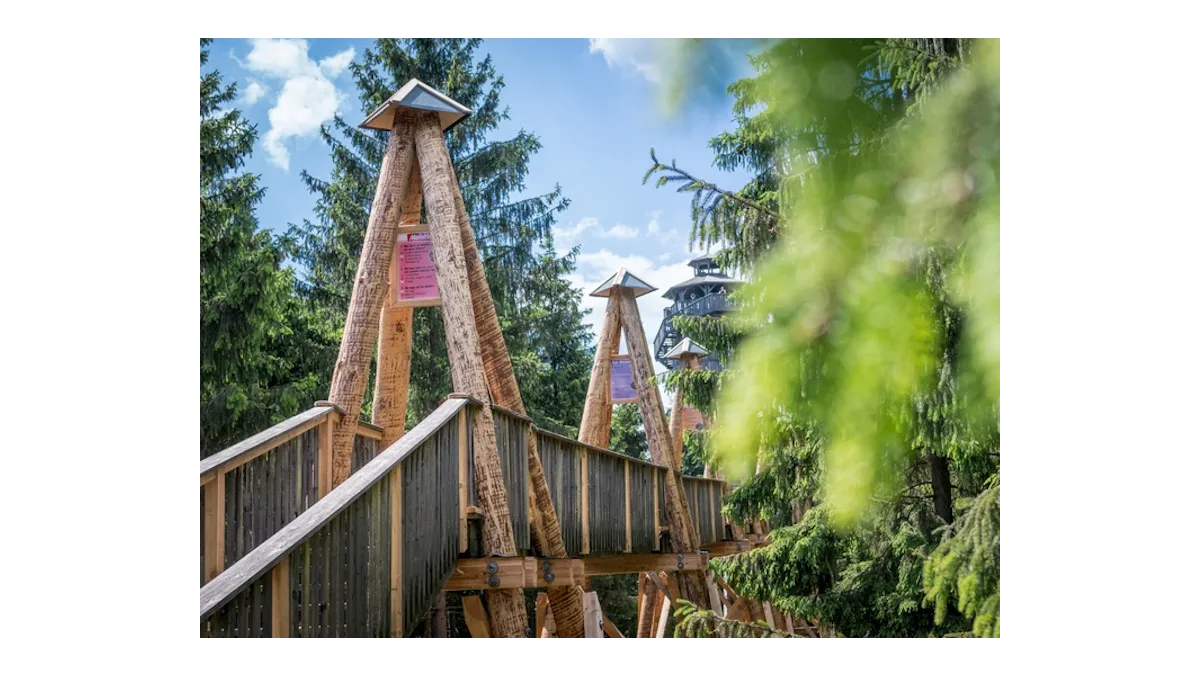 Relaxace v přírodě: WaldEntdeckerWelt je ideální volba
