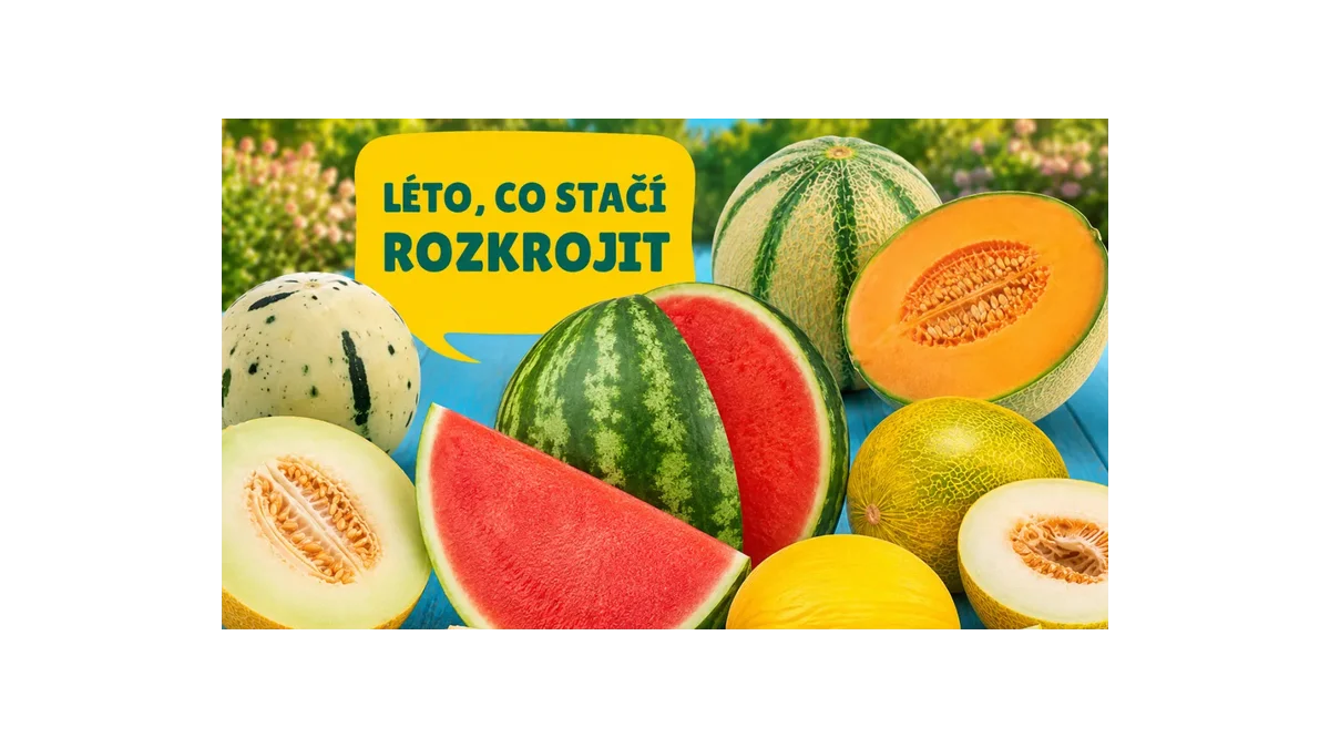Jak s BILLA správně uchovat meloun pro vynikající chuť