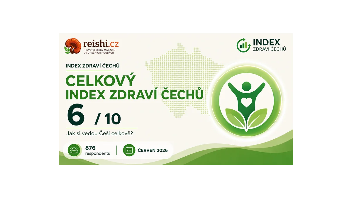 Index zdraví: Češi mají rezervy v energii a spánku