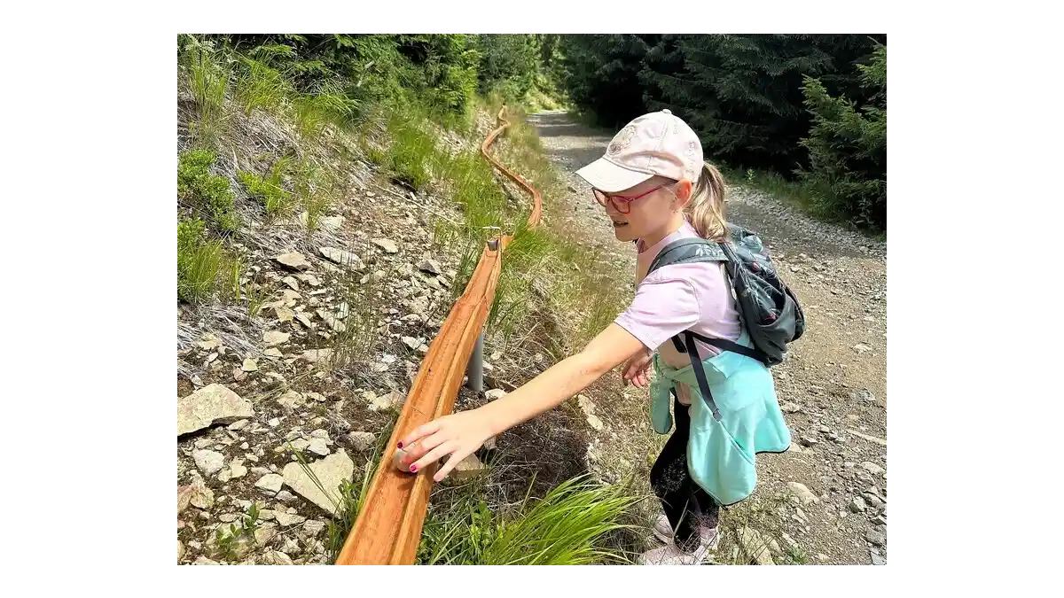 Kůrovec na Dolní Moravě: Naučná stezka s dráhou
