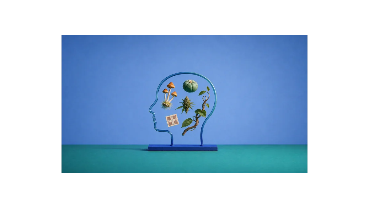 Beyond Psychedelics: Pomoc pro duševní zdraví v Česku